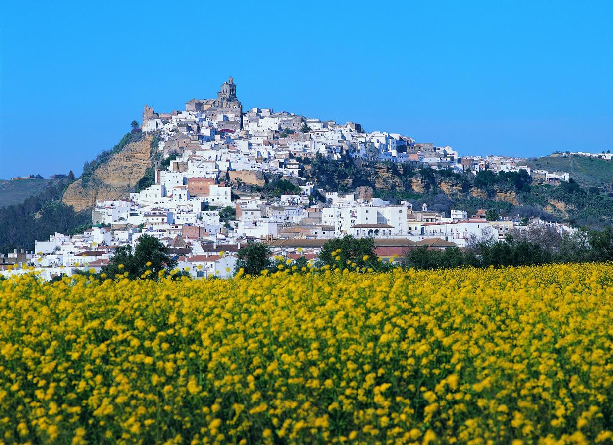 Arcos Gardens Sol Rent Golf Villa Arcos de la Frontera Dış mekan fotoğraf